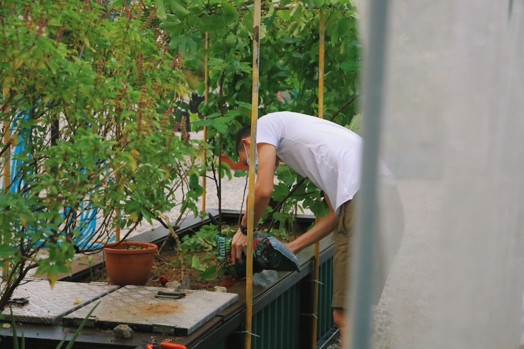 Photo Garden plant