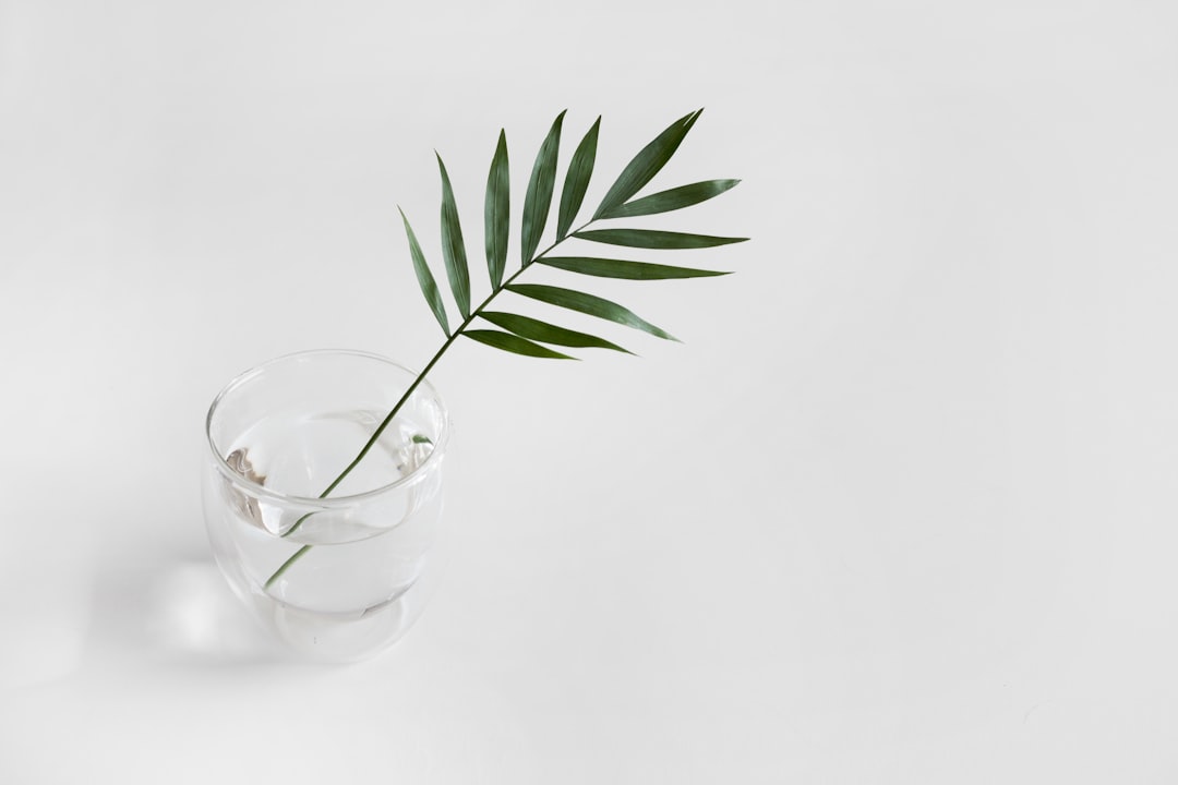 Photo Drought-resistant plant