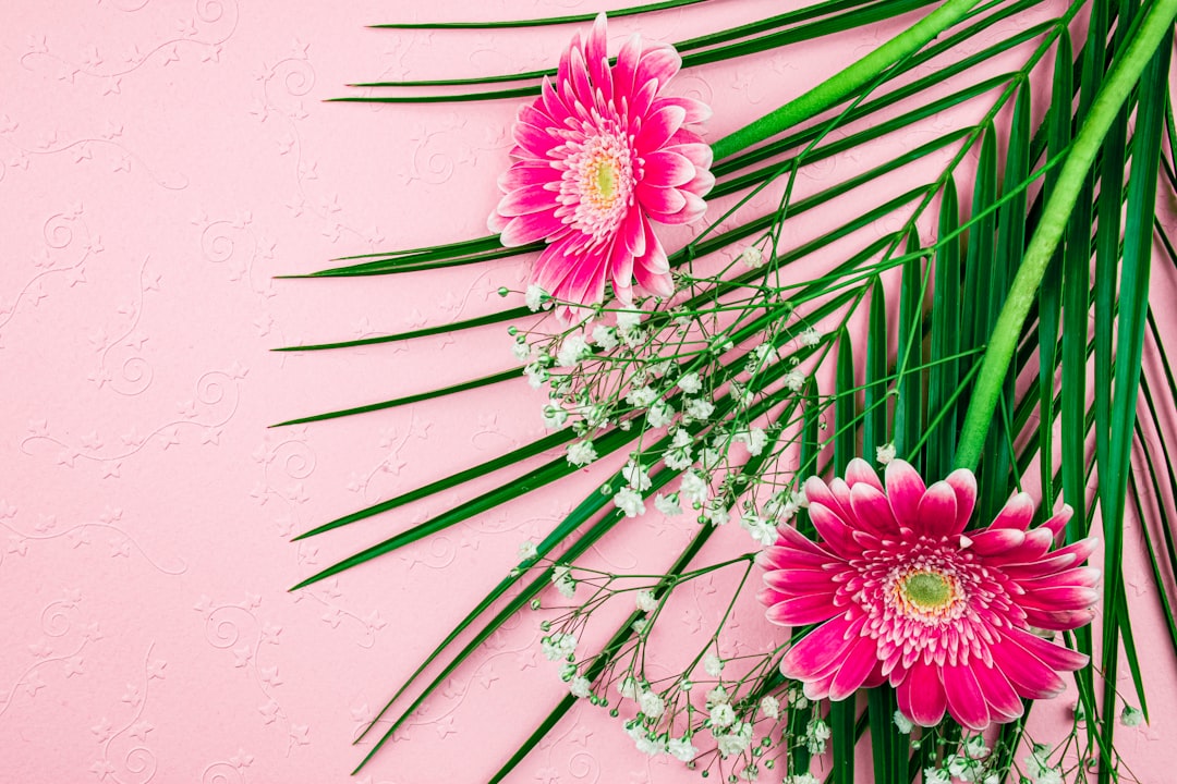 Photo Decorative leaves