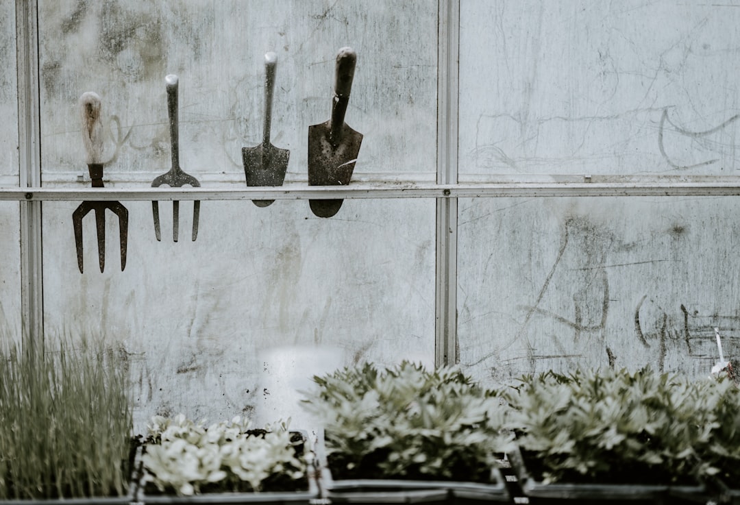 Photo Garden tools