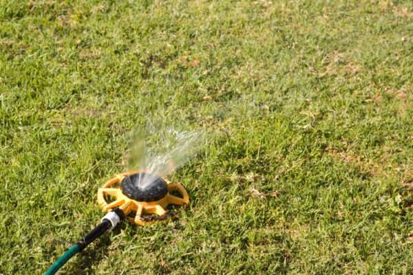 Aspersor udând gazon verde în grădină