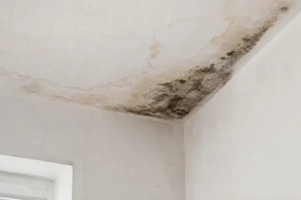 Cum repari petele de umezeală de pe tavan