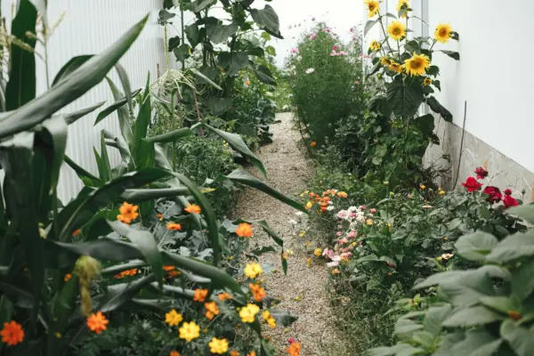 Amenajări exterioare fără beton: alternative pentru o grădină cu aspect natural