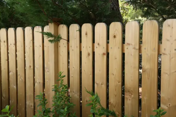 Vrei să plantezi copaci lângă gard? Distanța pe care trebuie să o verifici